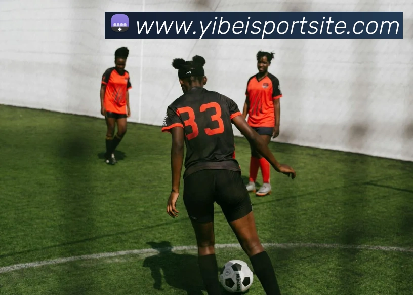 易倍体育发展历程